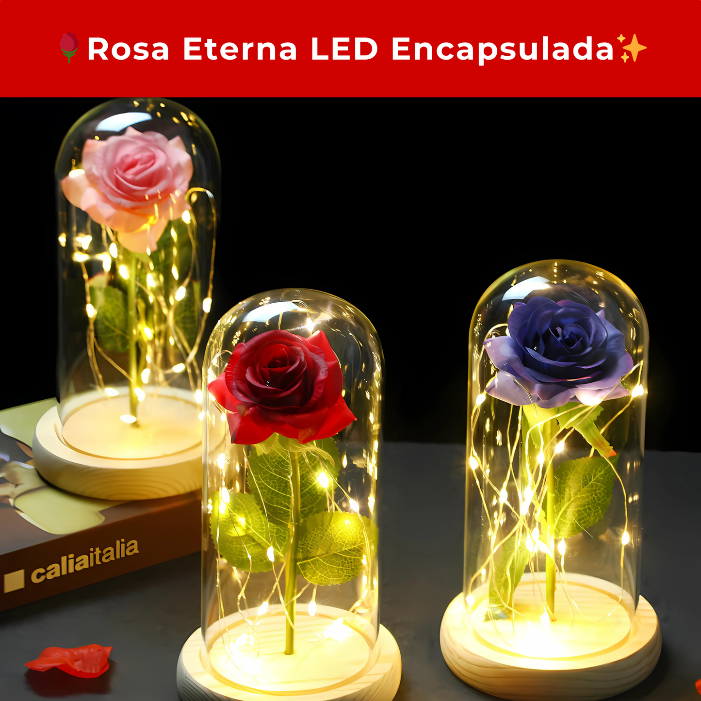 🌹Rosa Eterna LED Encapsulada✨