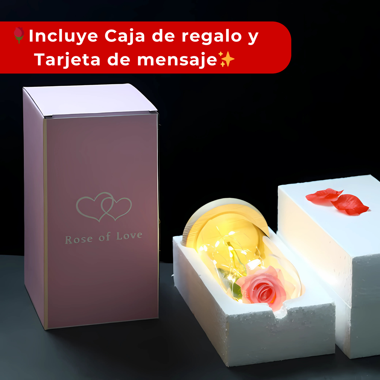🌹Rosa Eterna LED Encapsulada✨