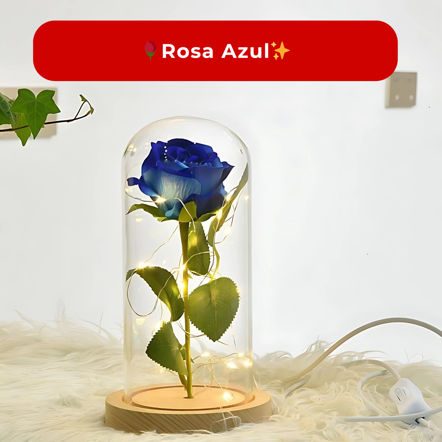 🌹Rosa Eterna LED Encapsulada✨