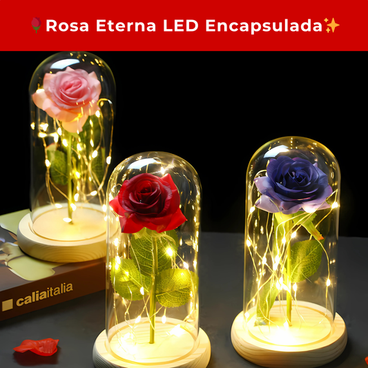 🌹Rosa Eterna LED Encapsulada✨