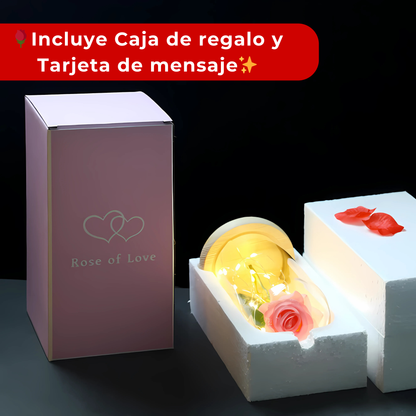 🌹Rosa Eterna LED Encapsulada✨