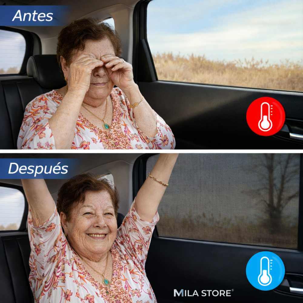 Pack 2 Mallas de Ventana Lateral de Auto