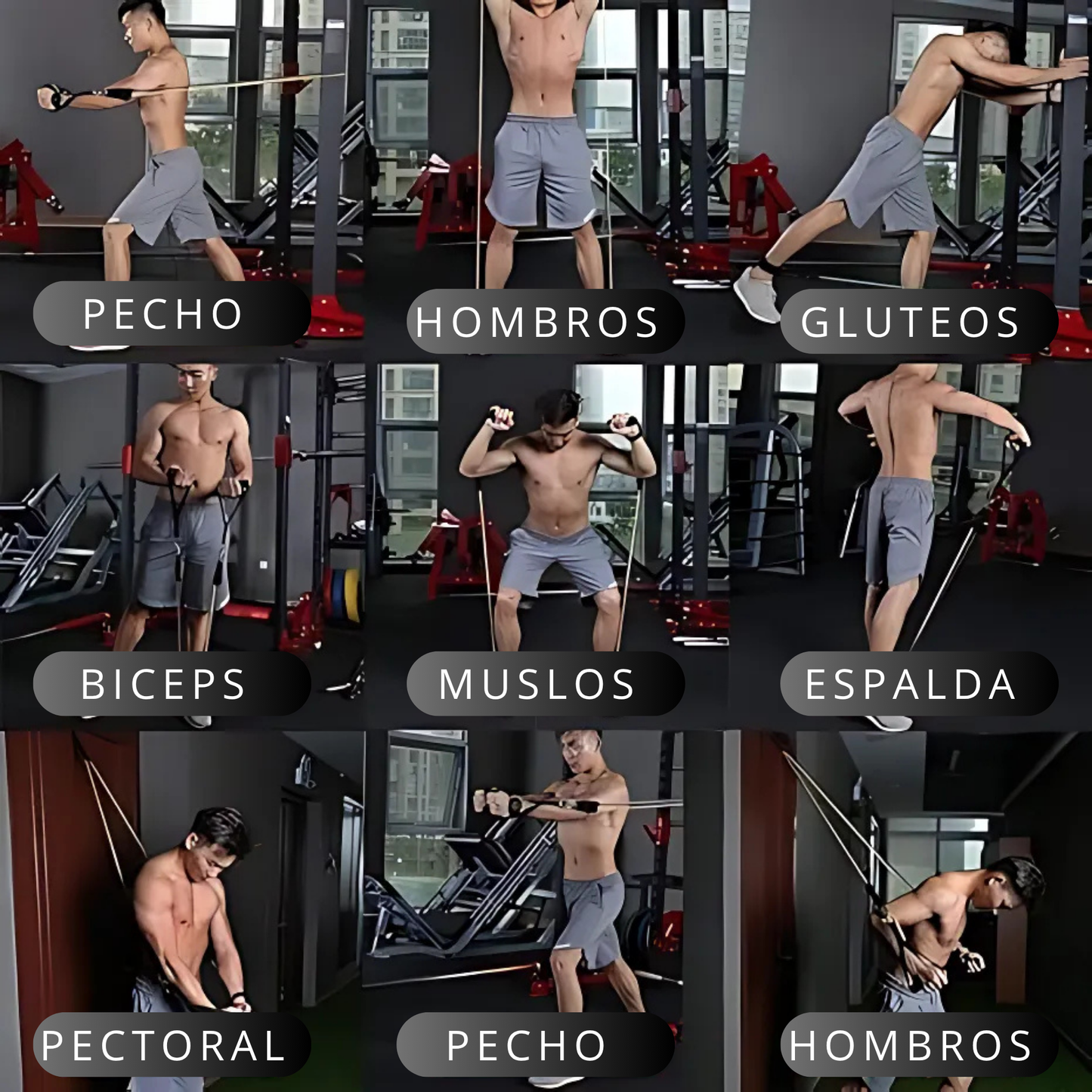 Pack de 5 Bandas de Resistencia + Accesorios y Guia de Ejercicios - FitBand™
