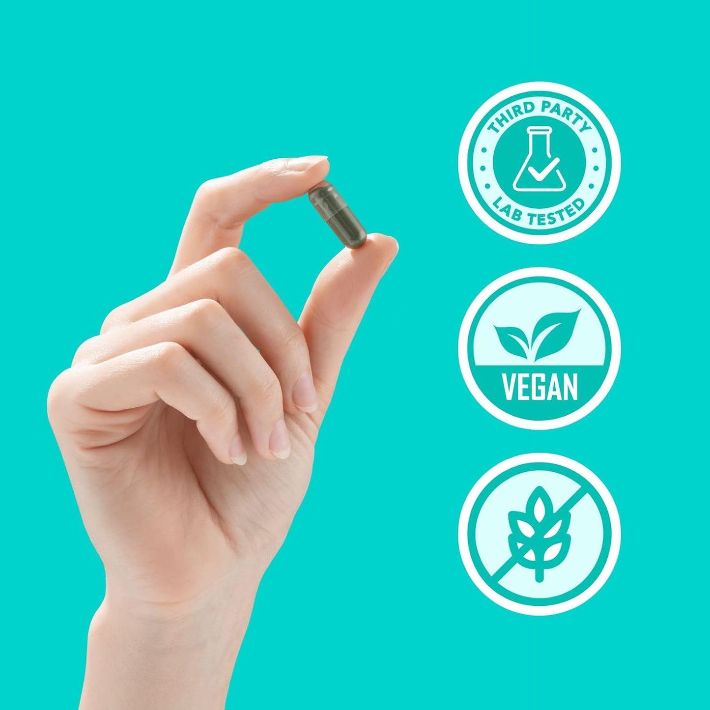OdorOFF™ – Frescura desde adentro 🌿.